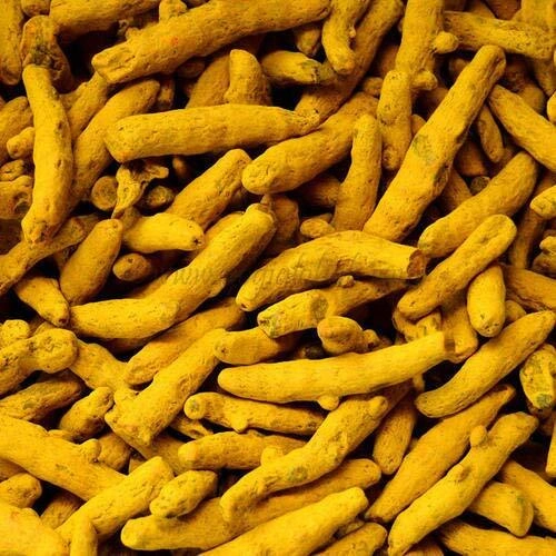 Turmeric Finger image 3