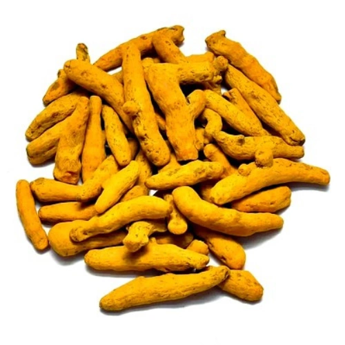 Turmeric Finger image 5